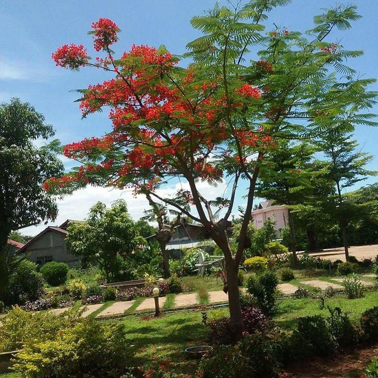 Xuanmai Garden Resort Pakse Bagian luar foto